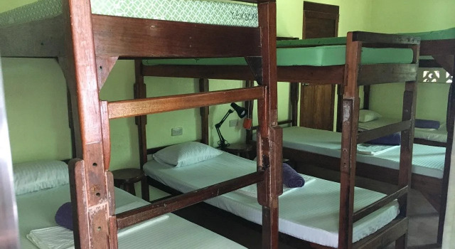 Elternative Hostel