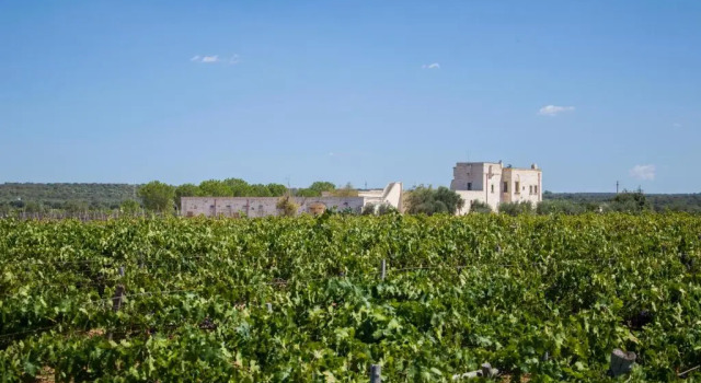 Номер Standard Masseria Giustiniani