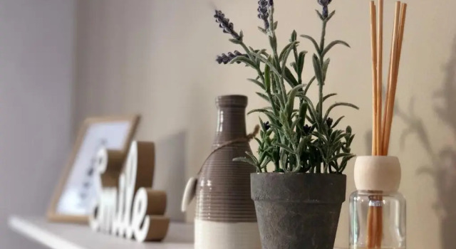 Апартаменты MiTRa Luxury Apartments