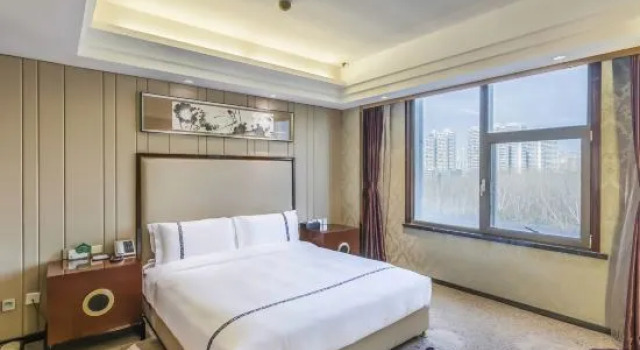 Люкс Business Handan Zhaoshang Hotel