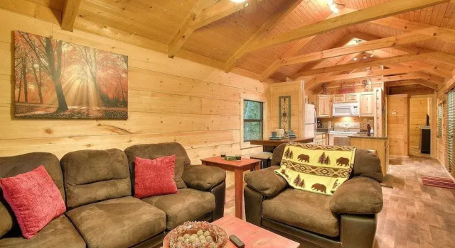 A Mary Cabin 1 Bedroom 1 Bathroom Cabin, Забронировать Отель Отели Гатлинберг 3 звезды, 3*