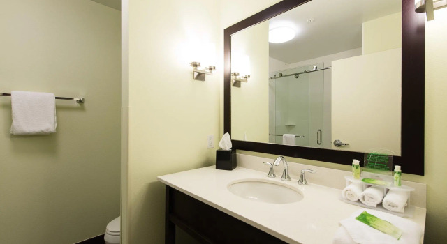 Номер Standard Holiday Inn Express & Suites Aiken by IHG