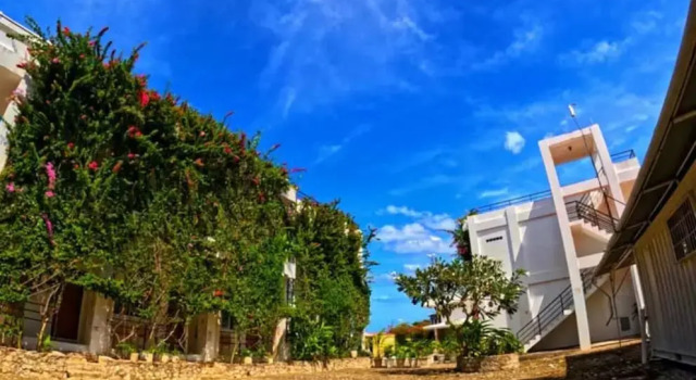 Номер Standard Divers Lodge Plumeria