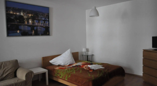 Bright spacious apartment
