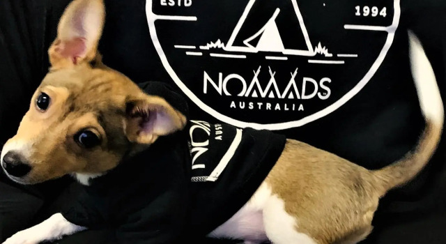 Кровать в общем номере Nomads St Kilda Beach