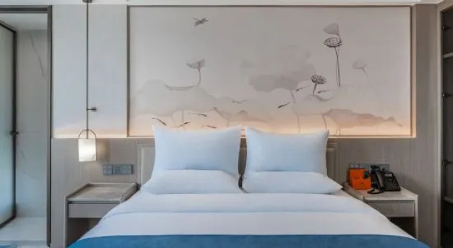 Люкс Wuhan Jointown Swan Hotel
