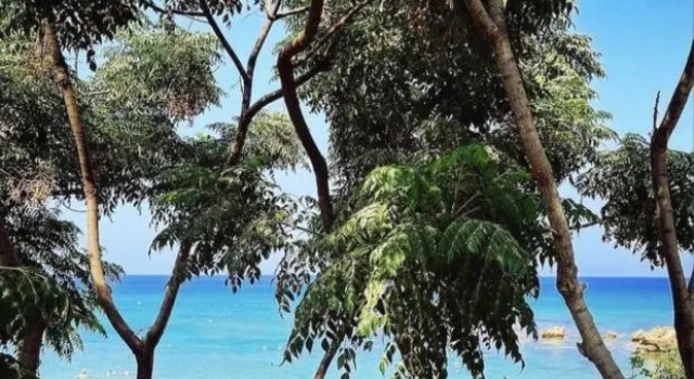Villa Diana - 200 meters from Kapparis, Fireman's Beach