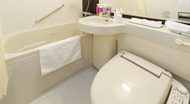 Двухместный номер Superior Отель Sotetsu Fresa Inn Ochanomizu Jimbocho