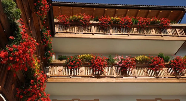 Adults only Hotel Grafenstein, Забронировать Отель Отели Шена 4 звезды, 4*
