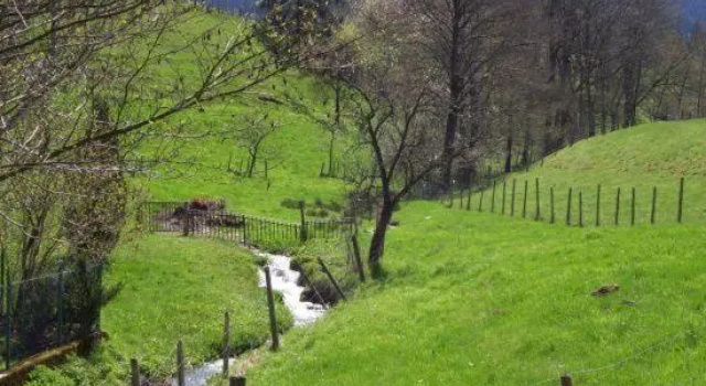 Elzachferien, Забронировать Отель Отели Breisgau с парковкой, Парковка