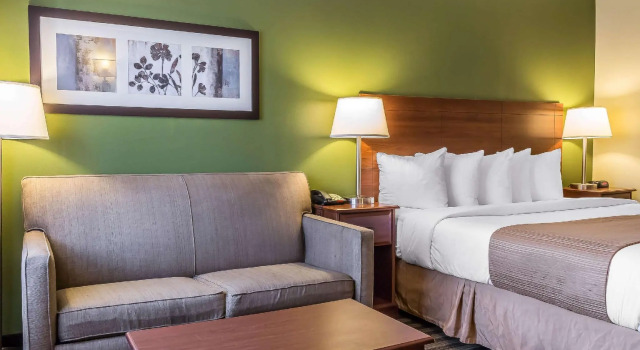 Двухместный номер Standard Quality Inn Flamingo