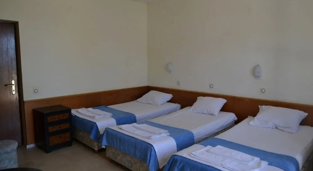 Vila Aleksandar