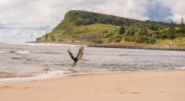 Апартаменты Seascape - Lennox Head