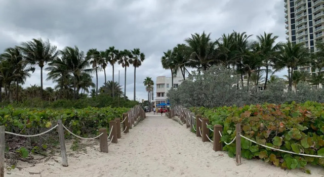 Апартаменты Dream Studio on the Beach