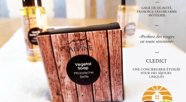 Шале ⁂⁂ LE NID DE PIERRE & JULIE [CLEDICIHOME] 2 pas du centre ville / SPA & TERASSE AMENAGEE ⁂⁂