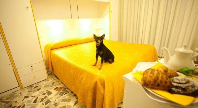 Hotel Medusa, Prenota Hotel Hotel a Sottomarina con piscina, Piscina