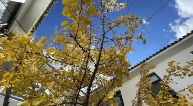 Minyue Xiaozhu Designer Garden B&B (Gongchen Tower Branch) in Weishan Ancient City, Prenota Bed & breakfast Hotel a Nanzhao con parcheggio, Parcheggio