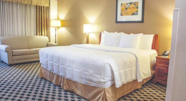 Номер Standard MCM Eleganté Hotel & Conference Center