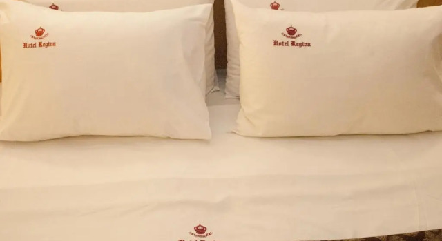 Двухместный номер Superior Hotel Regina Rio de Janeiro