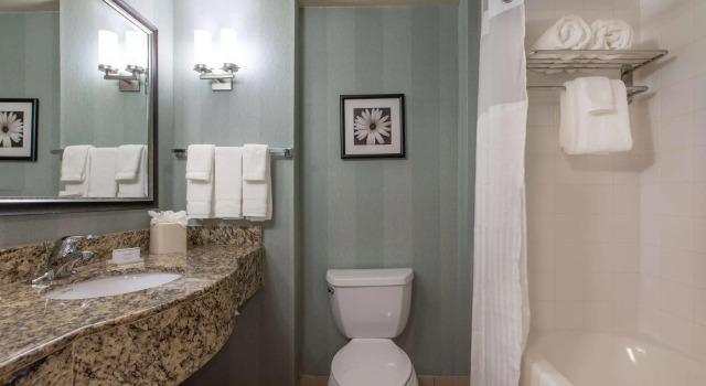 Четырёхместный номер Premium Hilton Garden Inn Lynchburg