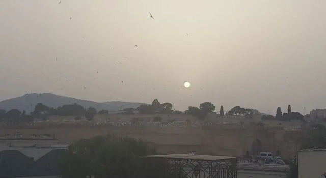 Deluxe værelse Dar Nour Fes
