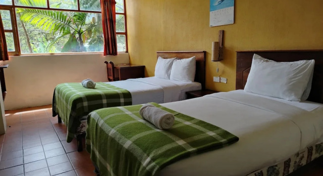Habitación Estándar Biohostal Mindo Cloud Forest