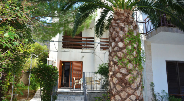 Apartments Cirkovic