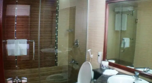 Номер Premium Hotel Bengal Inn