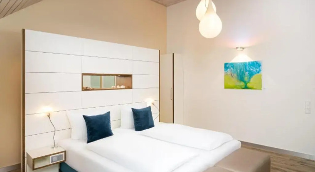 Двухместный номер Superior Flussbett Hotel