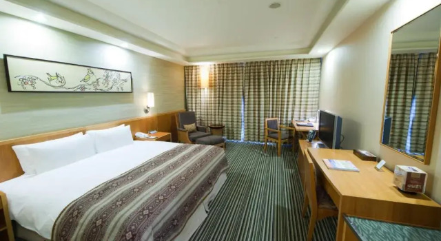 Двухместный номер Deluxe Nice Prince Hotel