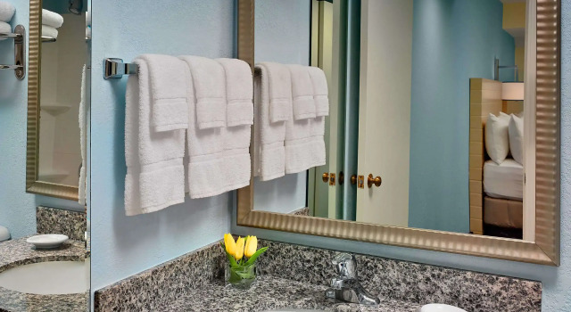 Четырёхместный люкс Sonesta Simply Suites Cleveland Airport