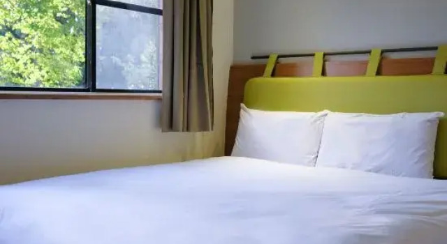 Двухместный номер Superior Howard Resort Xitou