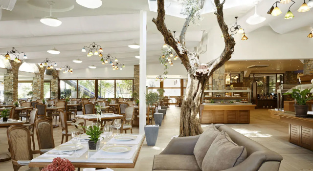 Anthemus Sea Beach Hotel & Spa