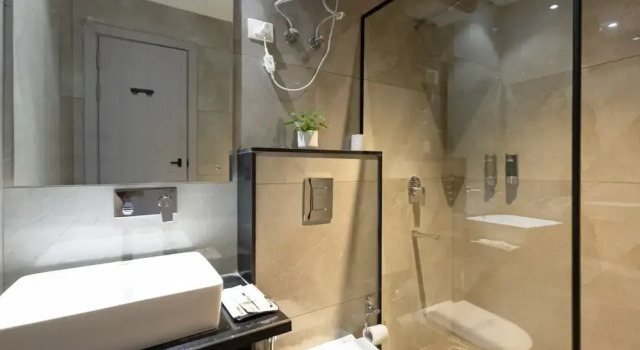 Номер Deluxe IVA Premium Delhi Airport