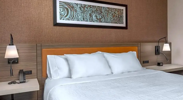 Двухместный номер Mobility Accessible with Roll-In Shower Canopy By Hilton Chicago Central Loop