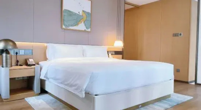 Люкс Executive Qianhai Service Apartment