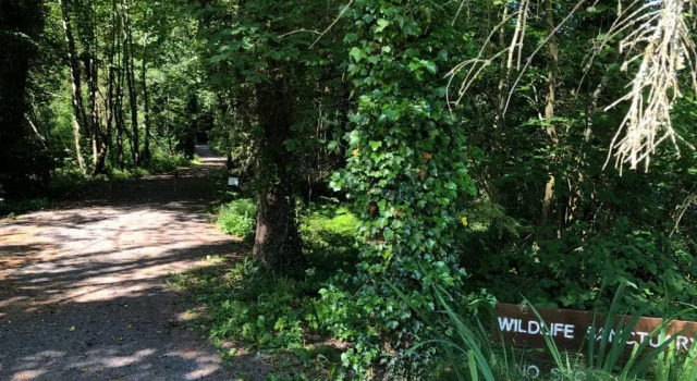 The North Lodge Kilronan, Book Hotel Ballyfarnon Roscommon