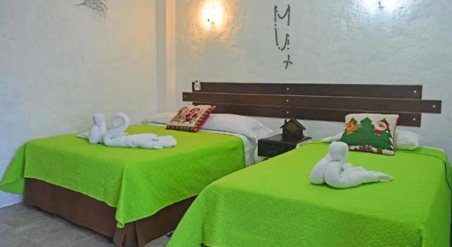 Номер Economy Hostal Cann's House