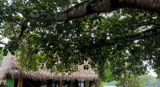 Bungalow Hato San Pablo