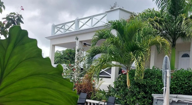 Люкс Economy Chez Mango Villas