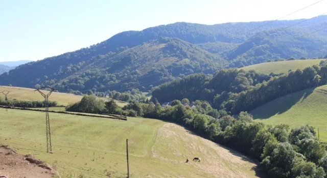 Apartamentos Zabalarena Ola, Buchen Sie Ferienwohnung Orbaitzeta Navarre Pyrenees