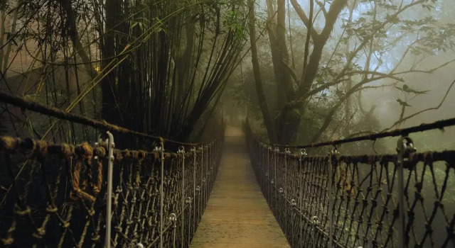 Vythiri Resort