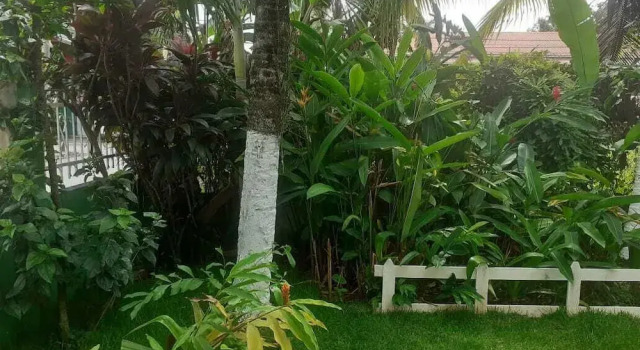 Vampayá Panamá