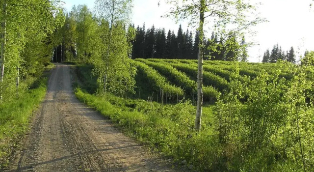 Вилла с 3 комнатами Huvilaranta Villas