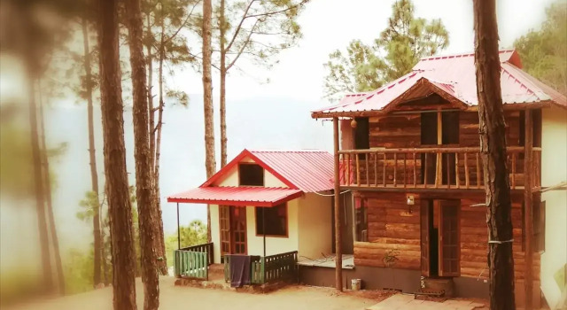 Pine Valley Resort - PVR Kasauli, Book Ferieresort Kasauli 