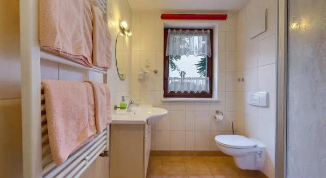 Двухместный номер Standard Hotel Dachsbaude & Kammbaude