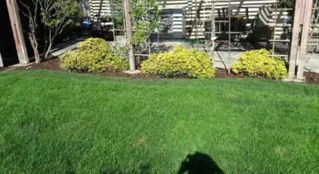 3 Private Rooms Near Apple + Free Organic Breakfast, Book Hotel Cupertino Silicon Valley