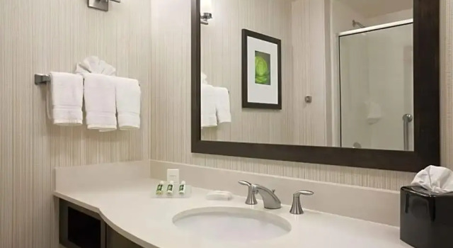 Четырёхместный номер Premium Hilton Garden Inn Rochester/Pittsford