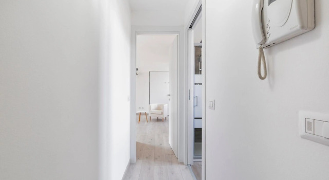 Maciachini Renovated Studio!