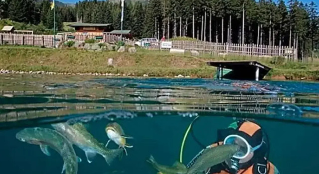 Апартаменты Welcoming Apartment near Forest in Vordenberg